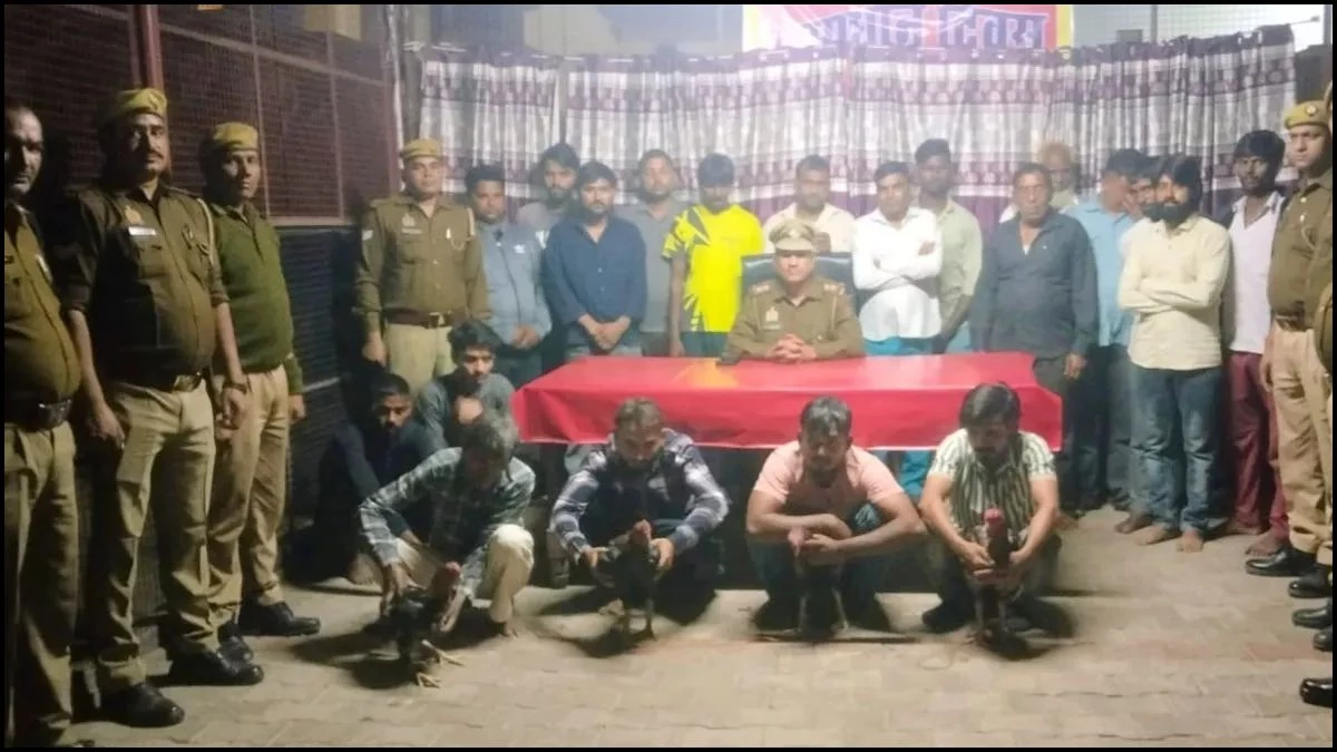 यूपी में मुर्गा लड़ाई की आड़ में चल रहा था जुए का खेल, 20 आरोपी गिरफ्तार, 9 जिंदा मुर्गे और 11 बाइक जब्त