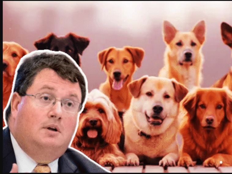 Dogs vs Muslims Comment Row : कुत्तों-मुसलमान तुलना विवाद