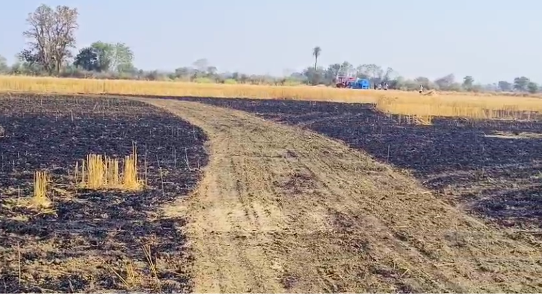 दमोह: निमरमुण्डा गांव में आग से गेहूं की फसल और हार्वेस्टर राख