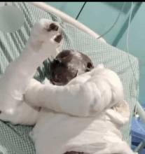 Screenshot-2026-03-31-at-2.24.15-PM