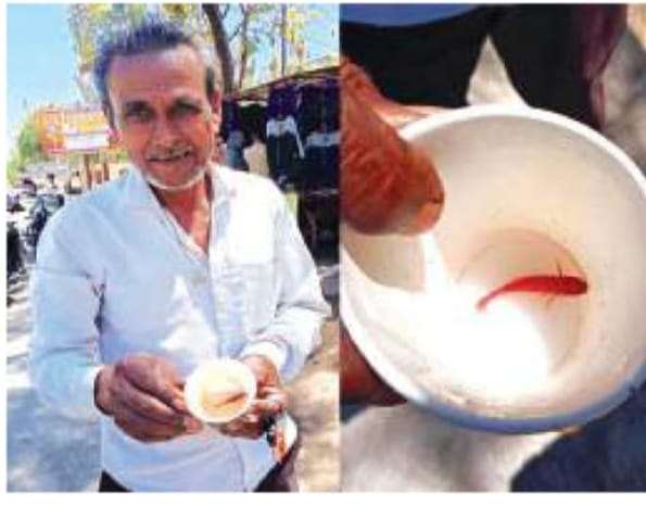 WhatsApp-Image-2026-03-25-at-11.40.45-AM