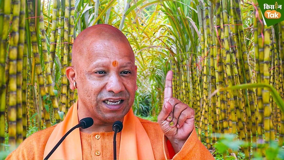 गन्ना विकास विभाग की पहल से प्रदेश में ड्रिप इरीगेशन को मिला बढ़ावा, लाखों किसानों को मिला सीधा लाभ