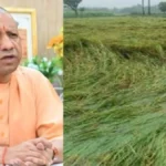सीएम योगी 