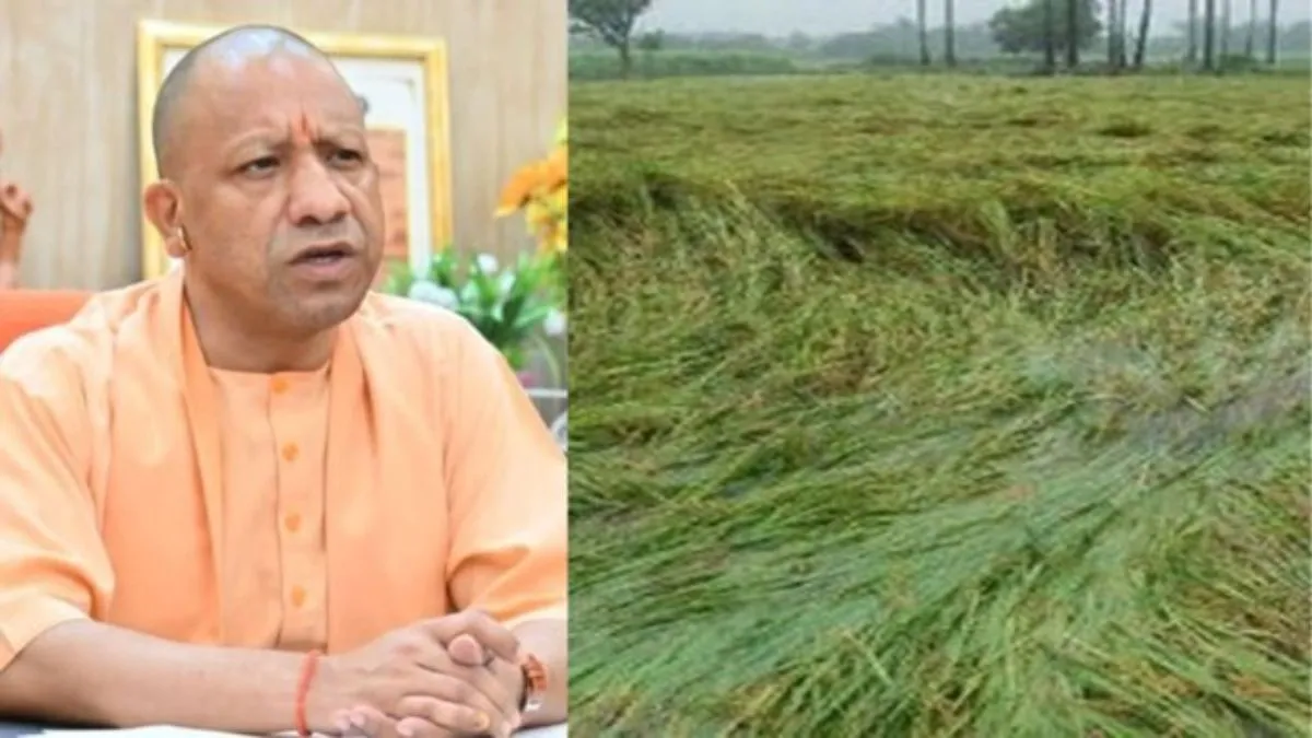 बेमौसम बारिश-ओलावृष्टि पर CM योगी का बड़ा फैसला, किसानों को मुआवजा देने के निर्देश