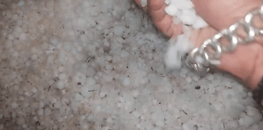 Screenshot-2026-04-02-at-12.12.19-PM