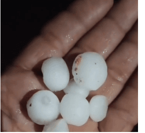 Screenshot-2026-04-05-at-12.20.31-PM