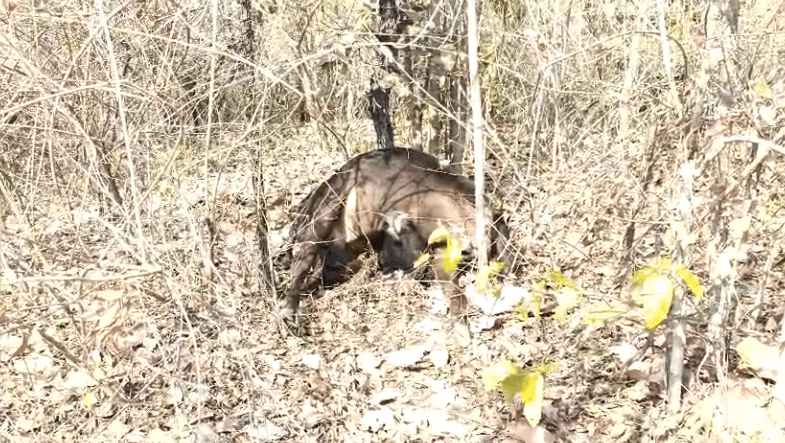 Screenshot-2026-04-05-at-2.39.10-PM