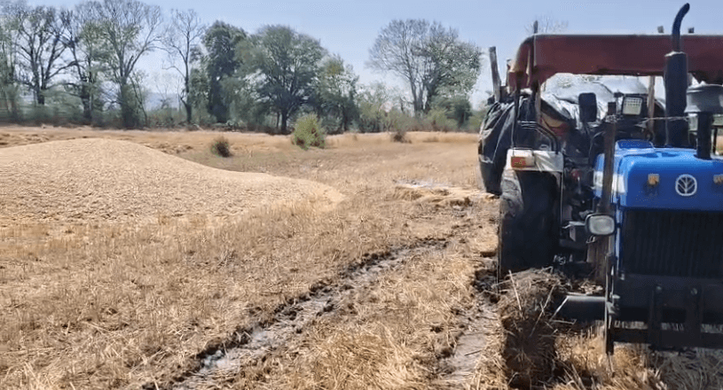 सागर जिला: आकाशीय बिजली गिरने से युवक की मौत, चार घायल