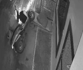 शिवपुरी: वार्ड 38 में आवारा कुत्तों का आतंक, छात्रा पर हमला