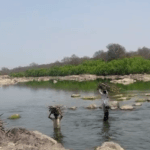 Screenshot-2026-04-08-at-6.13.23-PM