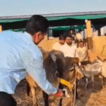 Screenshot-2026-04-19-at-3.31.22-PM