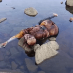 Screenshot-2026-04-20-at-7.34.41-PM