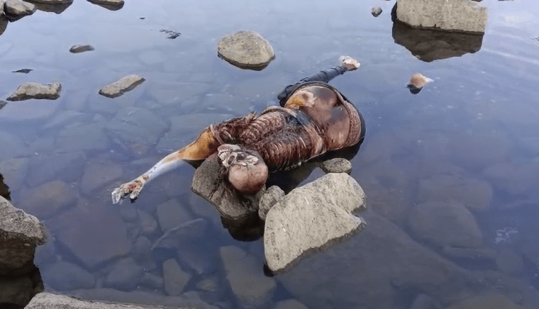 निवाड़ी में खौफनाक मंजर! जामनी नदी में तैरता मिला महिला का क्षत-विक्षत शव