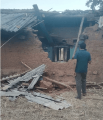 जंगल से गांव तक पहुंचा खतरा- अनूपपुर में हाथियों का मूवमेंट तेज