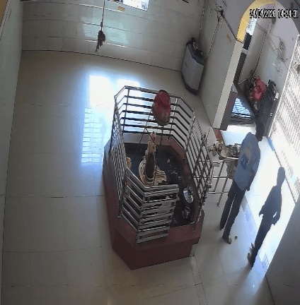 ग्वालियर में मंदिर की दान पेटी से दिनदहाड़े चोरी, CCTV में कैद हुए दो नाबालिग आरोपी