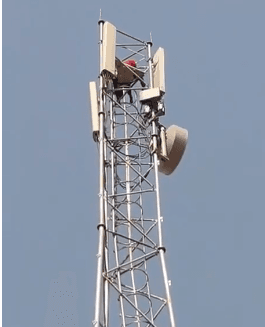 कोलारस में हाईवोल्टेज ड्रामा, मोबाइल टावर पर चढ़ा प्रेमी जोड़ा, गांव में मची अफरा-तफरी