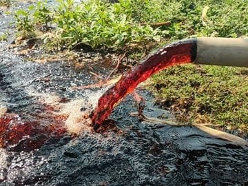 WhatsApp-Image-2026-04-04-at-12.01.36-PM