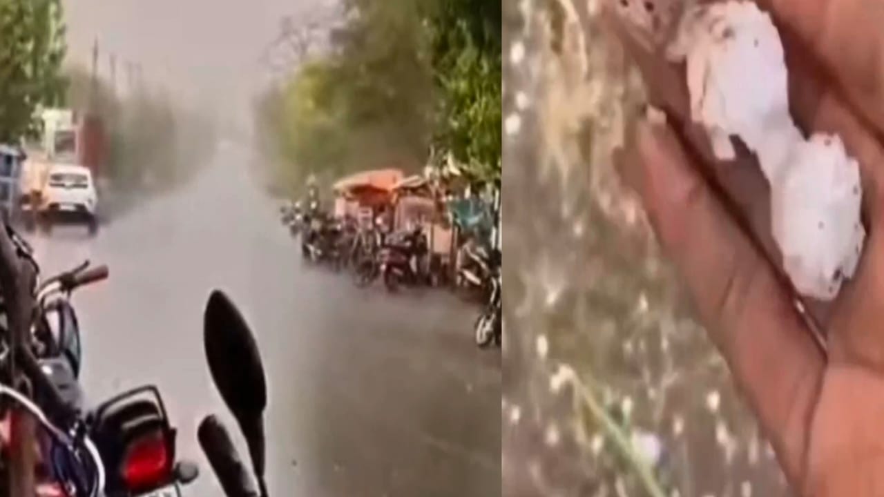 WhatsApp-Image-2026-04-05-at-9.30.40-AM