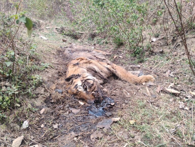 WhatsApp-Image-2026-04-06-at-6.28.10-PM