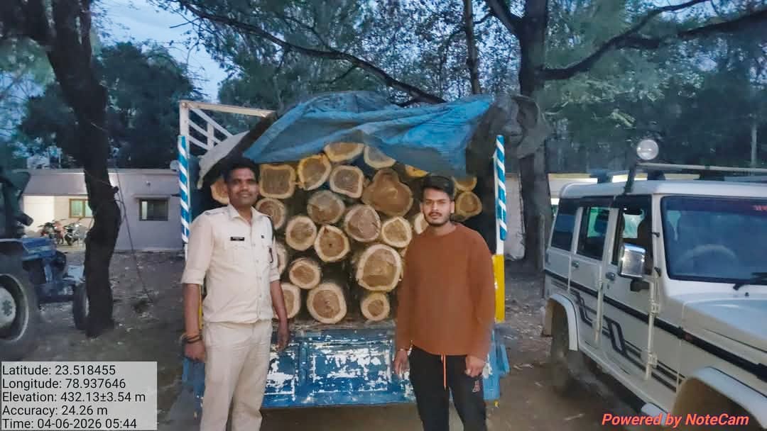 सागर में अवैध लकड़ी तस्करी पर शिकंजा, वन विभाग की बड़ी कार्रवाई