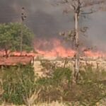 WhatsApp-Image-2026-04-07-at-5.22.19-PM