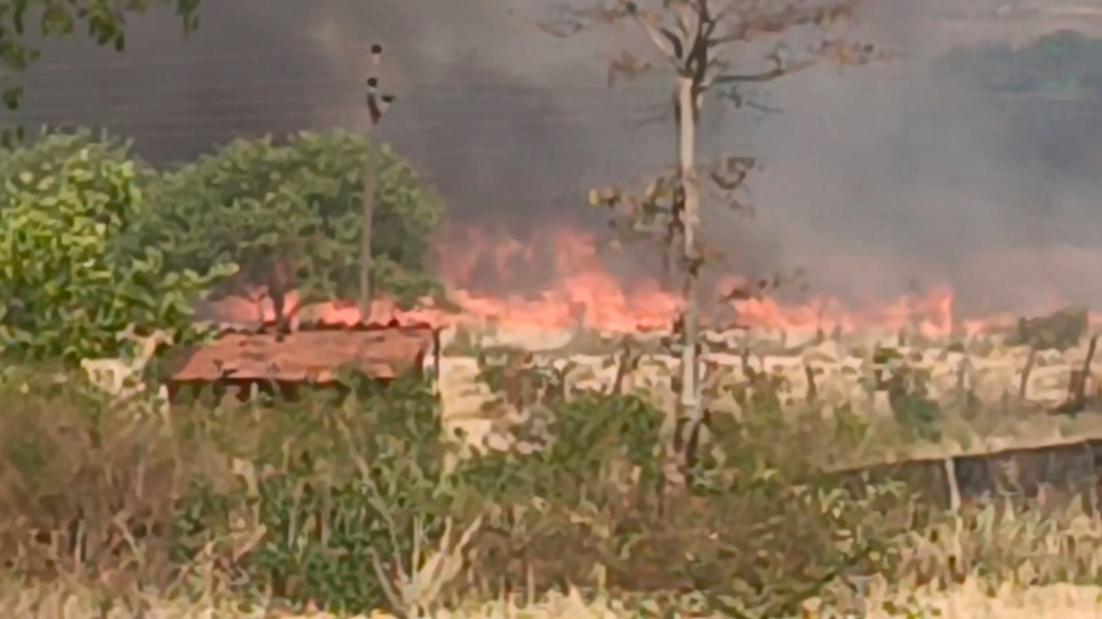 सागर/केसली के घाना गांव में खेतों में भीषण आग, फायर ब्रिगेड की कमी से किसानों की बढ़ी परेशानी