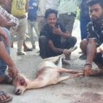 WhatsApp-Image-2026-04-07-at-7.20.33-PM