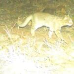 WhatsApp-Image-2026-04-08-at-4.23.43-PM