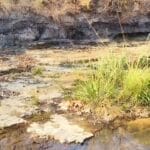 WhatsApp-Image-2026-04-08-at-6.43.44-PM-1