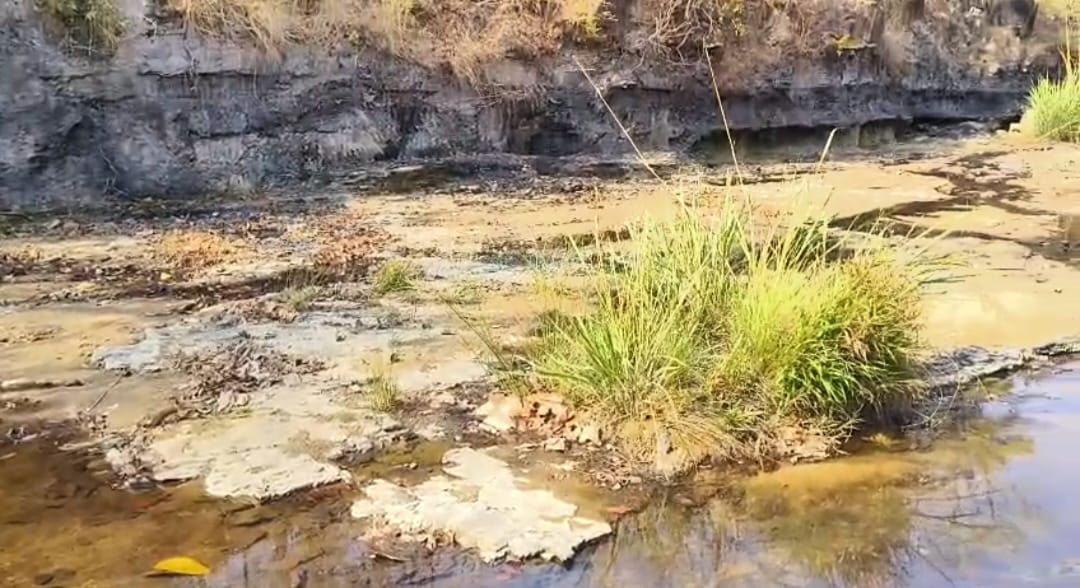 अनूपपुर: कोतमा वन परिक्षेत्र में अवैध कोयला खनन से पर्यावरण और प्रशासनिक जवाबदेही पर संकट