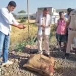 WhatsApp-Image-2026-04-11-at-10.21.09