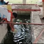 WhatsApp-Image-2026-04-12-at-4.52.43-PM