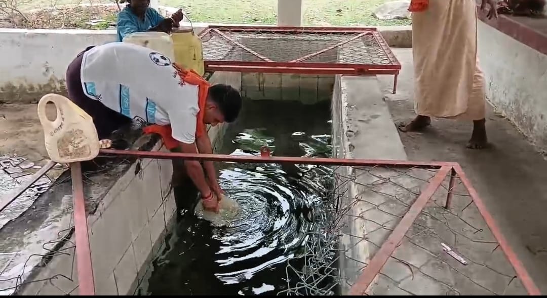 अनूपपुर: केरहाधाम की अमृतधारा पर संकट, संरक्षण की उठी मांग