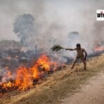 WhatsApp-Image-2026-04-16-at-2.00.00-PM