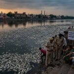 WhatsApp-Image-2026-04-16-at-4.46.10-PM