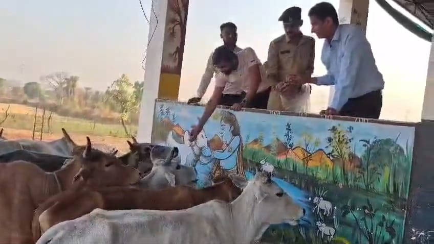 दमोह में गौशालाओं का निरीक्षण, कलेक्टर प्रताप नारायण सिंह यादव ने दिए सख्त निर्देश