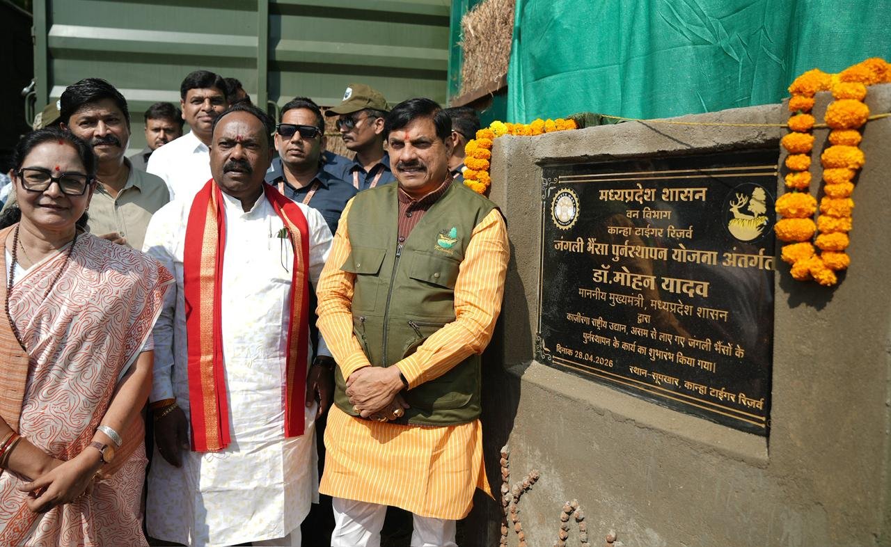 एमपी वाइल्ड लाइफ को बड़ी सौगात, सीएम डॉ. मोहन ने 4 जंगली भैसें किए रिलीज