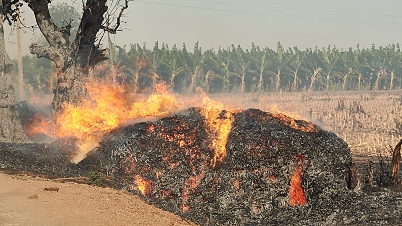 बुरहानपुर में भीषण आग से 40 एकड़ फसल राख, लाखों का नुकसान