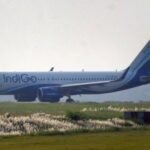 indigo-1