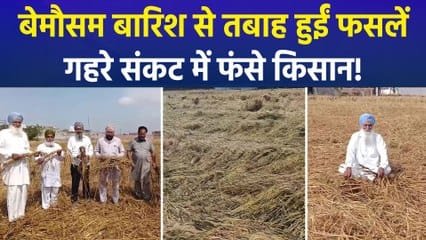 सागर में बेमौसम बारिश से फसल तबाह, मंडी प्रशासन की लापरवाही से भीगा किसानों का अनाज