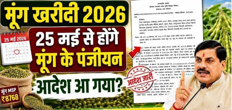 ग्रीष्मकालीन मूंग उपार्जन के लिए पंजीयन 25 मई से शुरू, 15 जून अंतिम तिथि