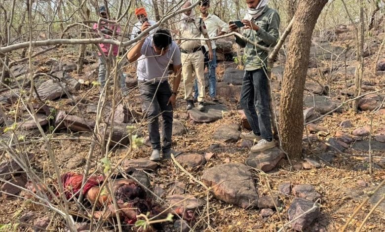 सलकनपुर में दर्दनाक हादसा, मंदिर जा रहे बुजुर्ग संत का शव मिला; जंगली जानवर के हमले की आशंका