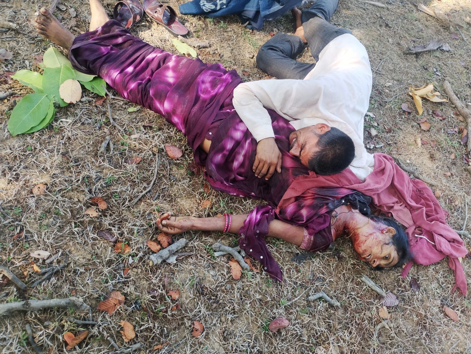 उमरिया: तेंदूपत्ता तोड़ने जंगल गई महिला पर बाघ का हमला, ग्रामीणों की चीख-पुकार के बीच मौके पर हुई दर्दनाक मौत