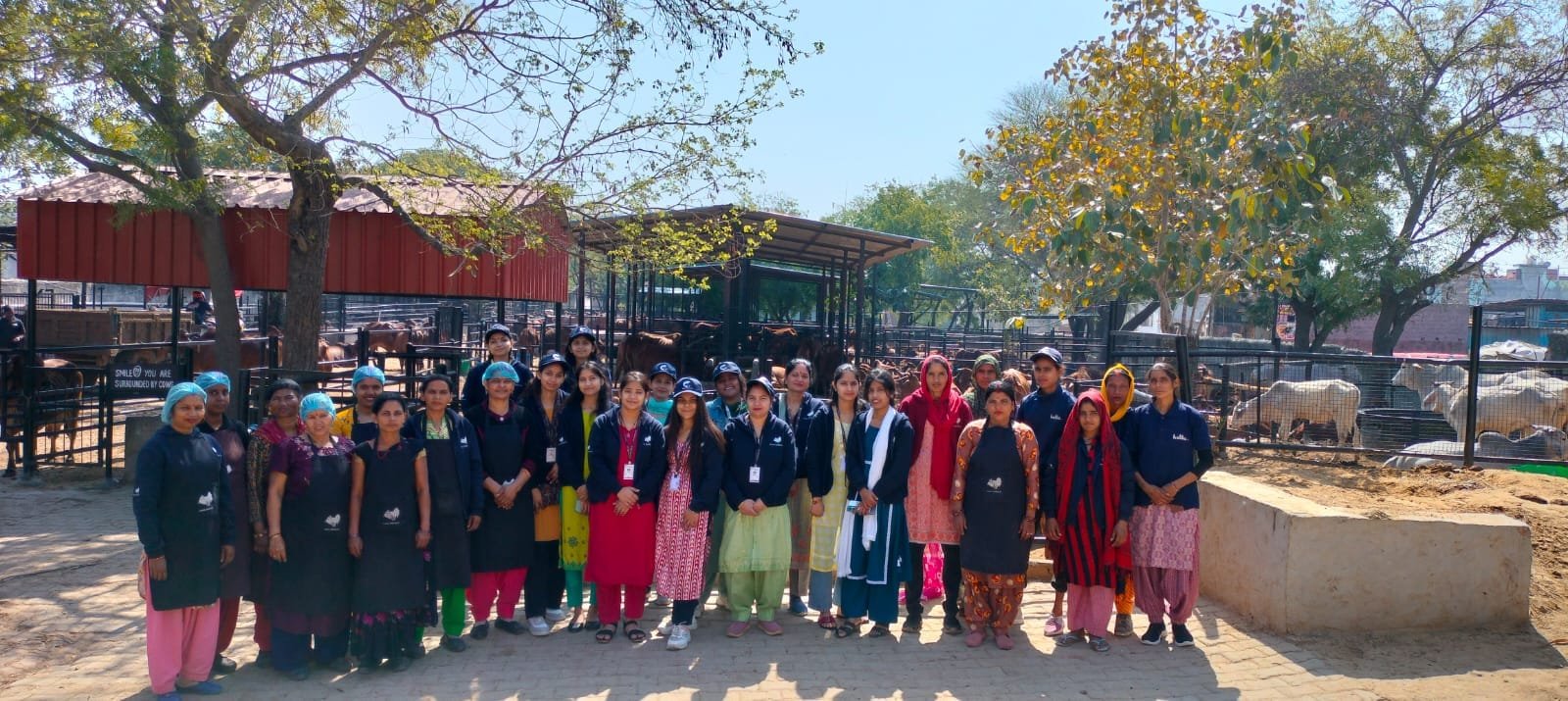 ‘गो संरक्षण से समृद्धि’ मॉडल का ग्लोबल विस्तार: यूपी की एथिकल डेयरी को यूके, यूएसए समेत 10+ देशों में पहचान, 10 करोड़ का सालाना कारोबार