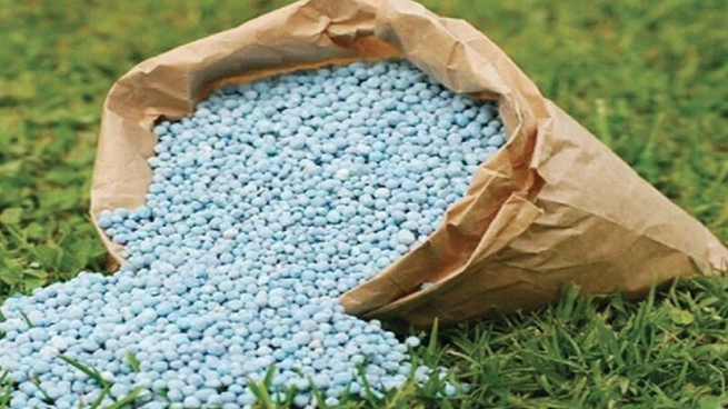रायसेन: खरीफ बोनी के लिए खाद का पर्याप्त स्टॉक उपलब्ध