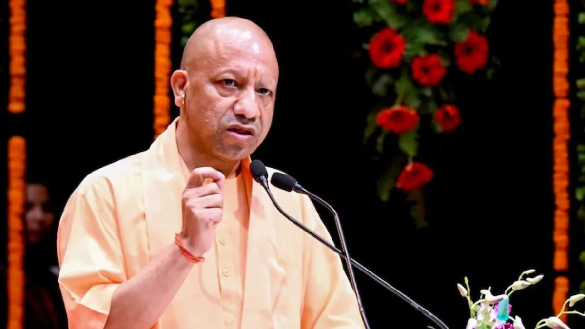 yogi-3-1778758419357