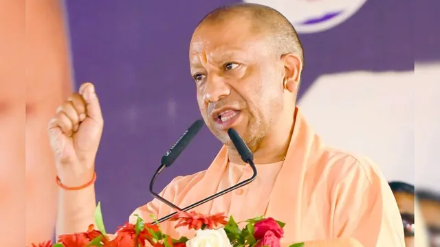 yogi-9-1779532851169_v