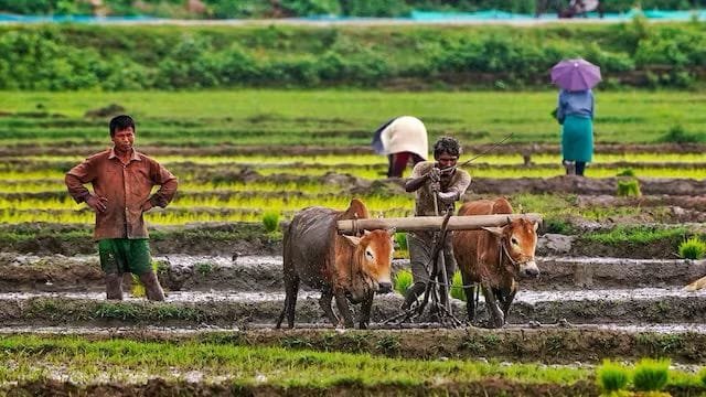 15 जून से पहले न करें खरीफ फसलों की बुवाई, महाराष्ट्र सरकार ने किसानों को जारी की एडवाइजरी