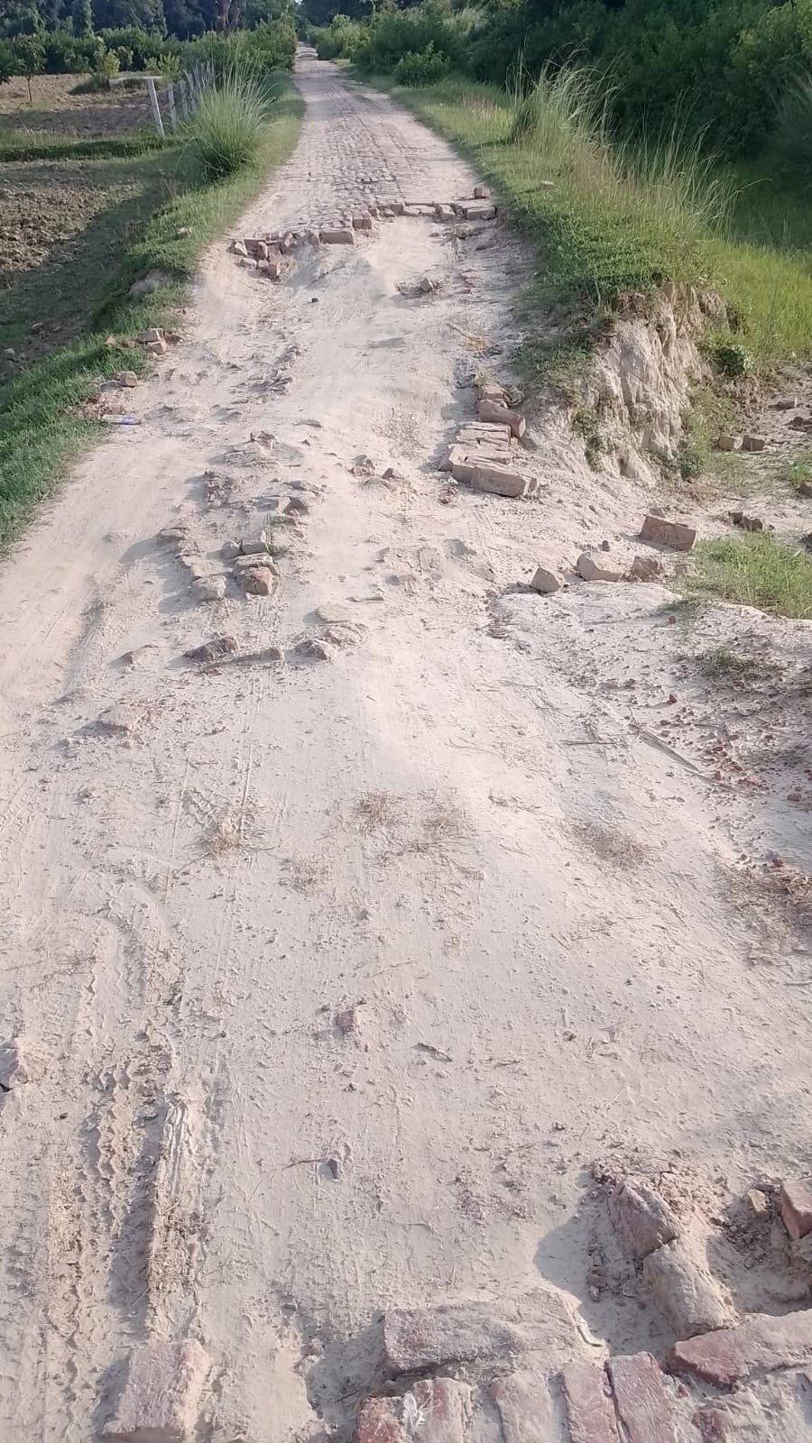 जटखेरवा भौली से सधीरा मार्ग की जर्जर हालत को लेकर स्थानीय लोगों में नाराजगी, जनप्रतिनिधियों और संबंधित विभाग से सड़क की मरम्मत कराने की मांग