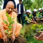 एक पेड़ मां के नाम अभियान: रविवार को नहीं होगा जनता दर्शन, सीएम योगी ने बताई वजह